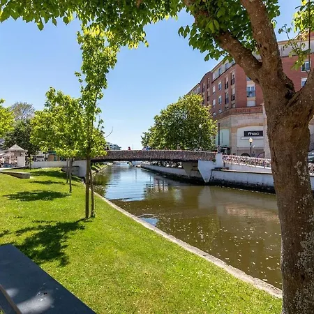 Timeless - Avenida Daire Aveiro