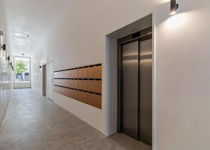 Timeless - Avenida * Aveiro